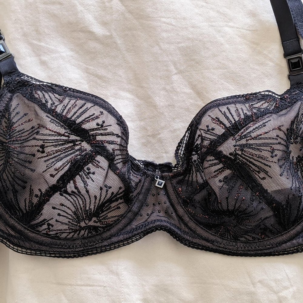 Elle MacPherson Rowan Obsidian Lace Bra & Panty SET NWT